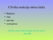 Prezentācija 'Konflikts un stress', 21.