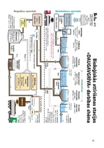 Referāts 'Notekūdeņu bioloģiskās attīrīšanas metodes', 28.