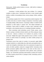 Eseja 'Socializācija', 1.