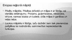 Prezentācija 'Eiropas reģions', 16.