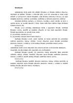 Konspekts 'Četrpoli', 9.