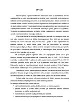 Referāts 'Drošība internetā', 3.