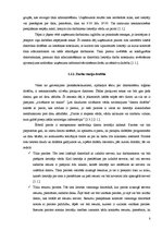 Referāts 'Drošība internetā', 8.