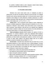 Referāts 'Drošība internetā', 18.