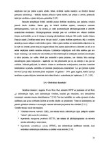 Referāts 'Drošība internetā', 20.