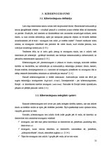 Referāts 'Drošība internetā', 22.