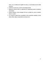 Referāts 'Drošība internetā', 41.