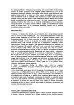 Referāts 'Viduslaiku plašs raksturojums', 2.