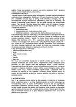 Referāts 'Viduslaiku plašs raksturojums', 6.