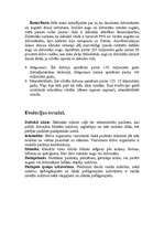 Referāts 'Cilvēka evolūcija', 4.