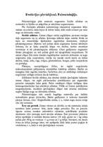 Referāts 'Cilvēka evolūcija', 8.