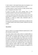 Prezentācija 'Reklāmas objektu ietekme uz satiksmes drošību', 5.