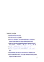 Prezentācija 'Reklāmas objektu ietekme uz satiksmes drošību', 21.