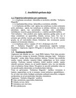 Prakses atskaite 'Kafejnīca "Magonīte"', 4.