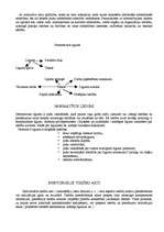 Konspekts 'Valsts teorija', 6.