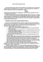 Konspekts 'Valsts teorija', 21.