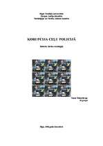 Referāts 'Korupcija ceļu policijā', 1.