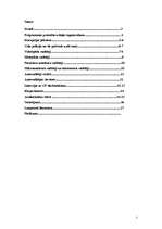 Referāts 'Korupcija ceļu policijā', 2.