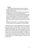 Referāts 'Korupcija ceļu policijā', 16.