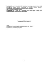 Referāts 'Jaunāko elektrotehnisko materiālu parametri un pielietojums', 8.