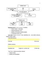Konspekts 'Patērētāju individuālās atšķirības kā uzvedību determinējoši faktori un to pētīš', 2.