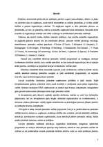 Referāts 'Personāla motivācijas teorijas', 3.