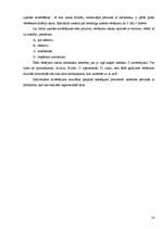 Referāts 'Personāla motivācijas teorijas', 16.