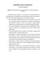 Eseja 'Inovatīvā sadarbība', 1.