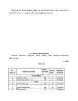 Konspekts 'Kursa darbs ražošanas organizācijas vadībā', 8.