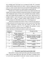 Referāts 'Zāļu lietotāju riska grupa – sievietes. Farmaceita asistenta loma riska mazināša', 6.