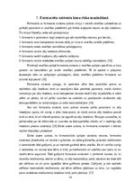 Referāts 'Zāļu lietotāju riska grupa – sievietes. Farmaceita asistenta loma riska mazināša', 14.