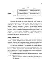 Diplomdarbs 'Tūrisma produkta izveide Latvijas laukos', 19.