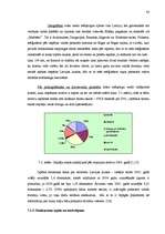 Diplomdarbs 'Tūrisma produkta izveide Latvijas laukos', 80.