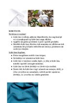 Konspekts 'Audumu veidi', 1.