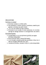 Konspekts 'Audumu veidi', 2.