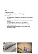 Konspekts 'Audumu veidi', 3.