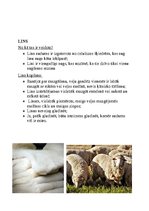 Konspekts 'Audumu veidi', 4.