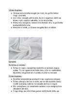 Konspekts 'Audumu veidi', 6.