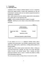 Prakses atskaite 'Organizācijas psiholoģija grupas organizācijā', 3.