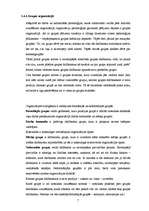 Prakses atskaite 'Organizācijas psiholoģija grupas organizācijā', 7.