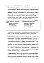 Prakses atskaite 'Organizācijas psiholoģija grupas organizācijā', 8.