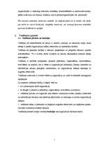 Prakses atskaite 'Organizācijas psiholoģija grupas organizācijā', 10.