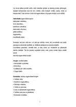 Prakses atskaite 'Organizācijas psiholoģija grupas organizācijā', 19.