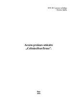 Prakses atskaite 'Access atskaite', 1.