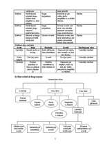 Prakses atskaite 'Access atskaite', 5.