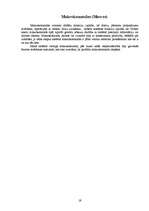 Prakses atskaite 'Access atskaite', 19.