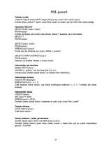 Prakses atskaite 'Access atskaite', 20.