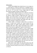 Konspekts 'Dobeles pilskalns', 3.