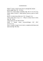 Konspekts 'Dobeles pilskalns', 6.