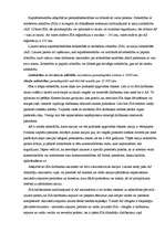 Konspekts 'SIA veidi', 4.